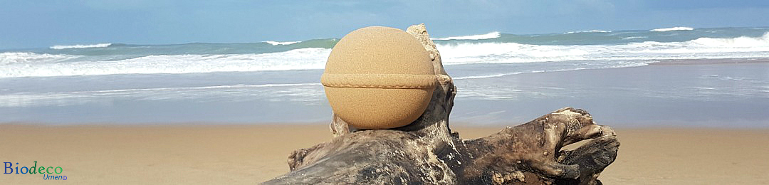 Biologisch afbreekbare zee-urn op aangespoeld drijfhoutop het strand, voor een asbijzetting in de Atlantische oceaan