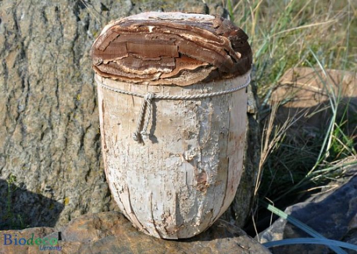 Biologisch afbreekbare Berkenschors-urn, handmatig afgewerkt met de schors van de Berk voor een asbijzetting in de aarde